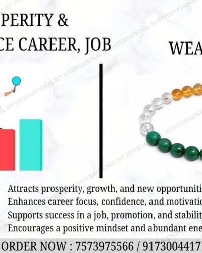 Prosperity, Abundance Career & Job Bracelet