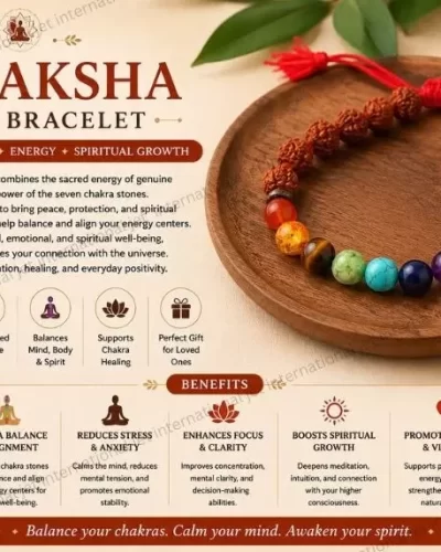 JET RUDRAKSH CHAKRA DRAW STRING BRACELET | 8mm Beads | Energy Protection | Chakra Balancing
