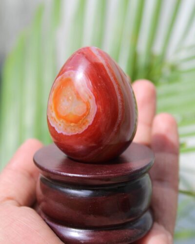 Carnelian Gemstone Egg | 2-inch | Confidence, Grounding & Inner Strength | Home Office Decor