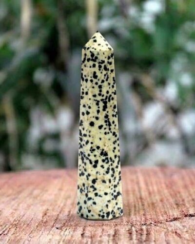 Dalmation Jasper Gemstone Obelisk | 3.5-4 inch | Natural | Home Decor
