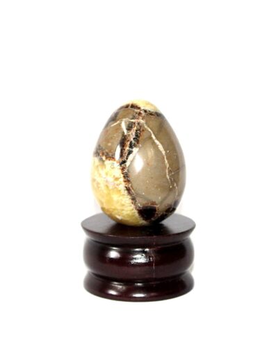 Septarian Gemstone Egg | 2-Inch | Crystal Therapy | Home - Office Decor