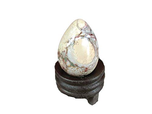 Spotted orgone Jasper Egg | 2-inch | Home Office decor