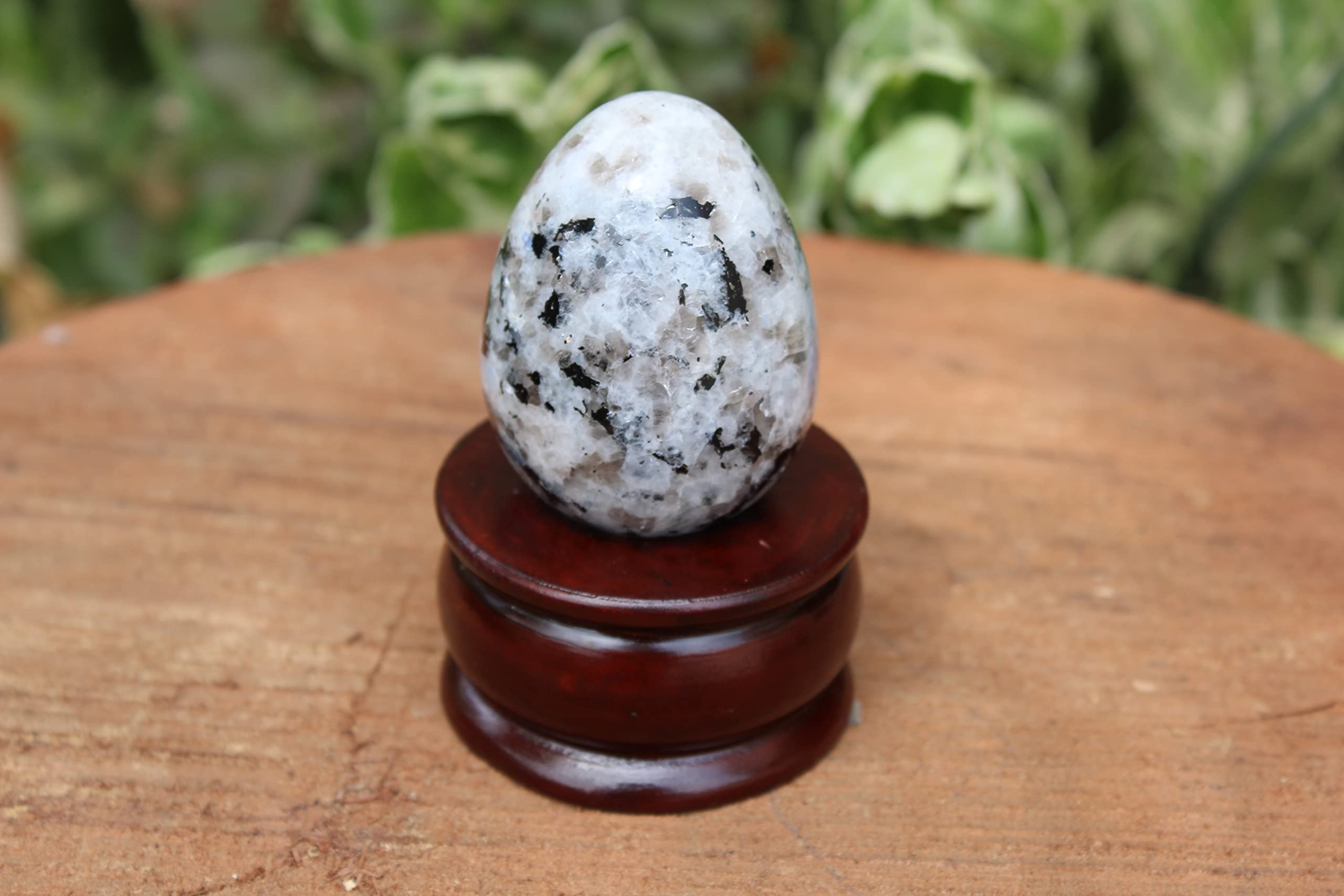 Rainbow Moonstone Gemstone Egg | 2-inch | Chakra Balancing & Spiritual Growth | Home Office Decor
