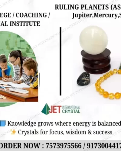 School / College / Coaching / Educational Institute