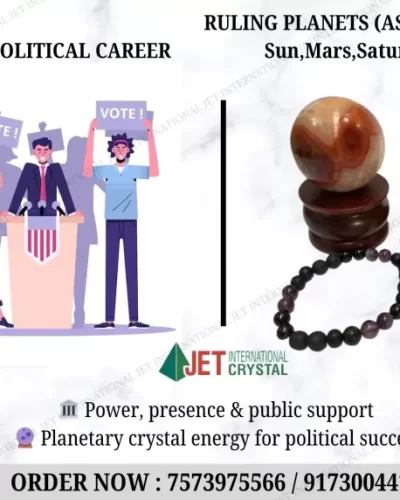 Politics / Political Career Profession