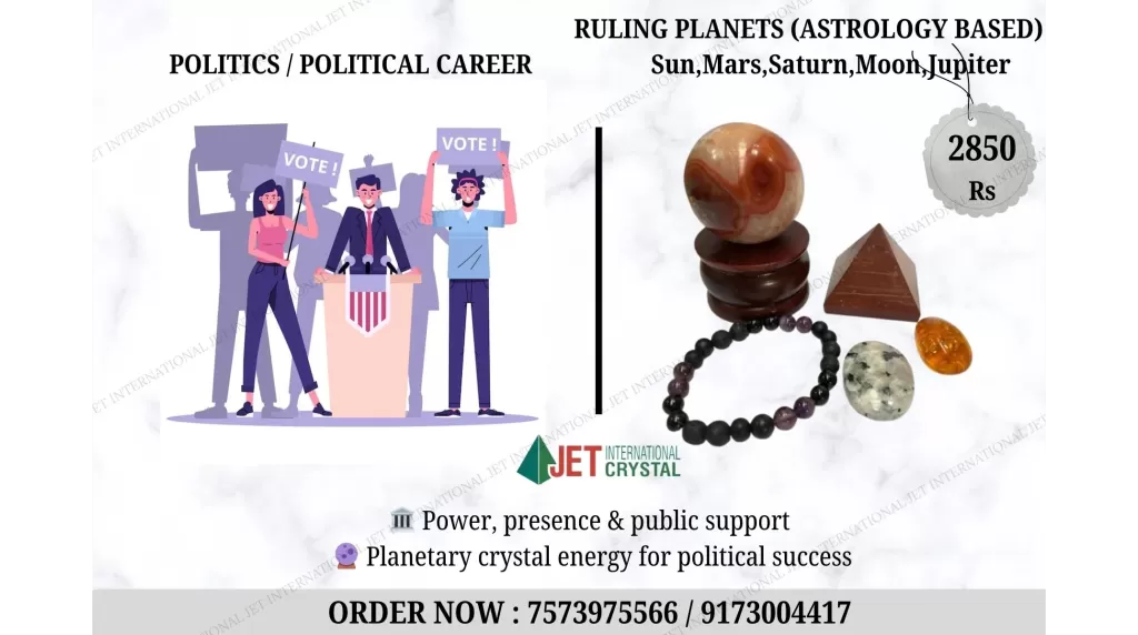 Politics / Political Career Profession