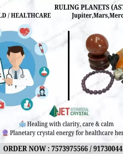 Medical Field / Healthcare Profession