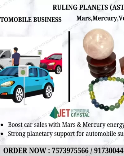 Car Dealer / Auto Mobile Profession