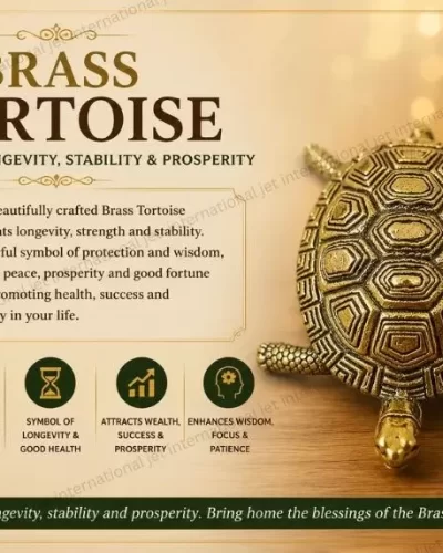 Brass Tortoise Statue